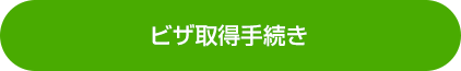 ビザ取得手続